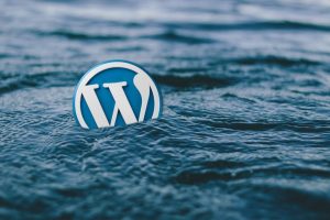 wordpress